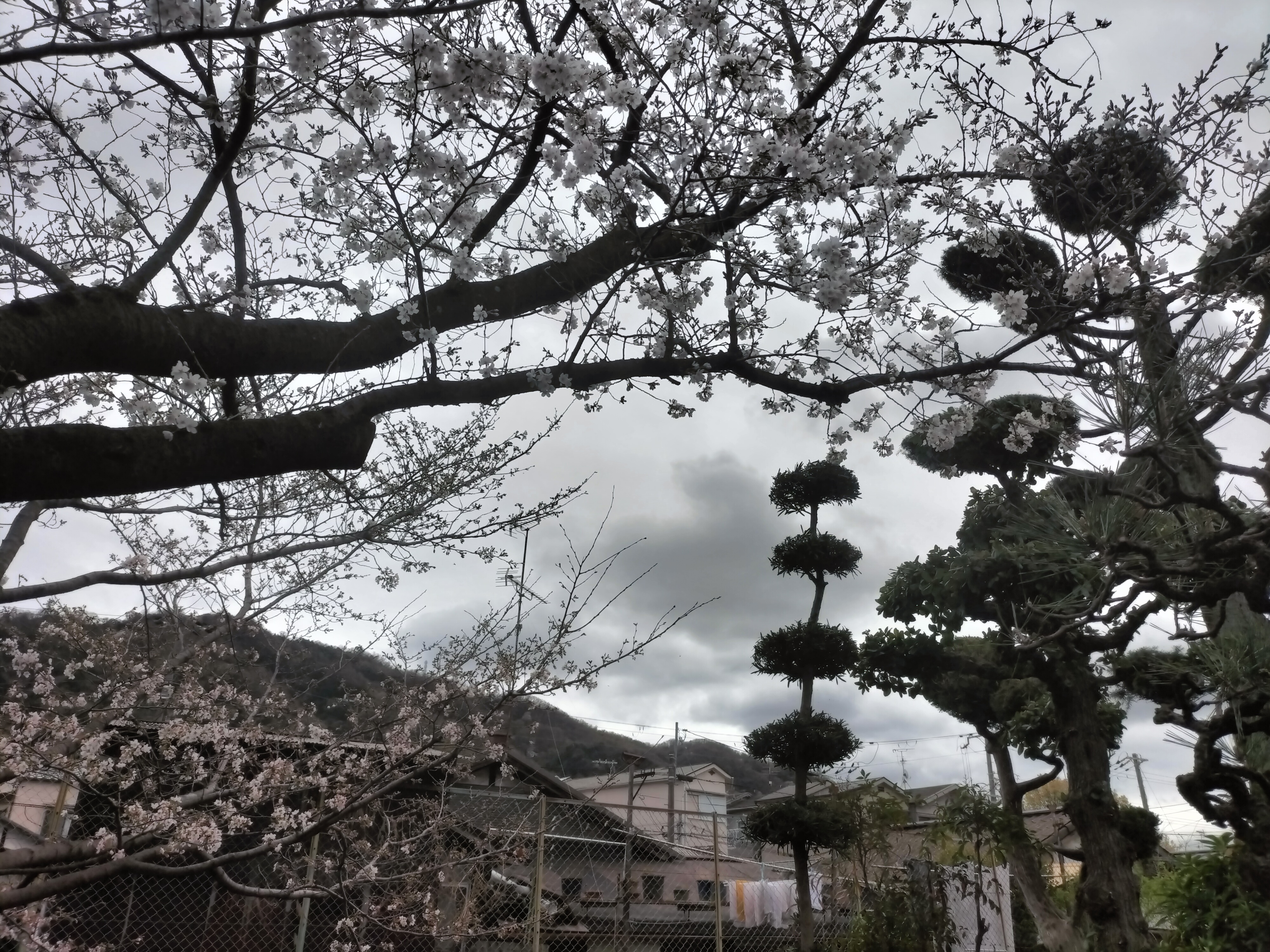 奈良県生駒市