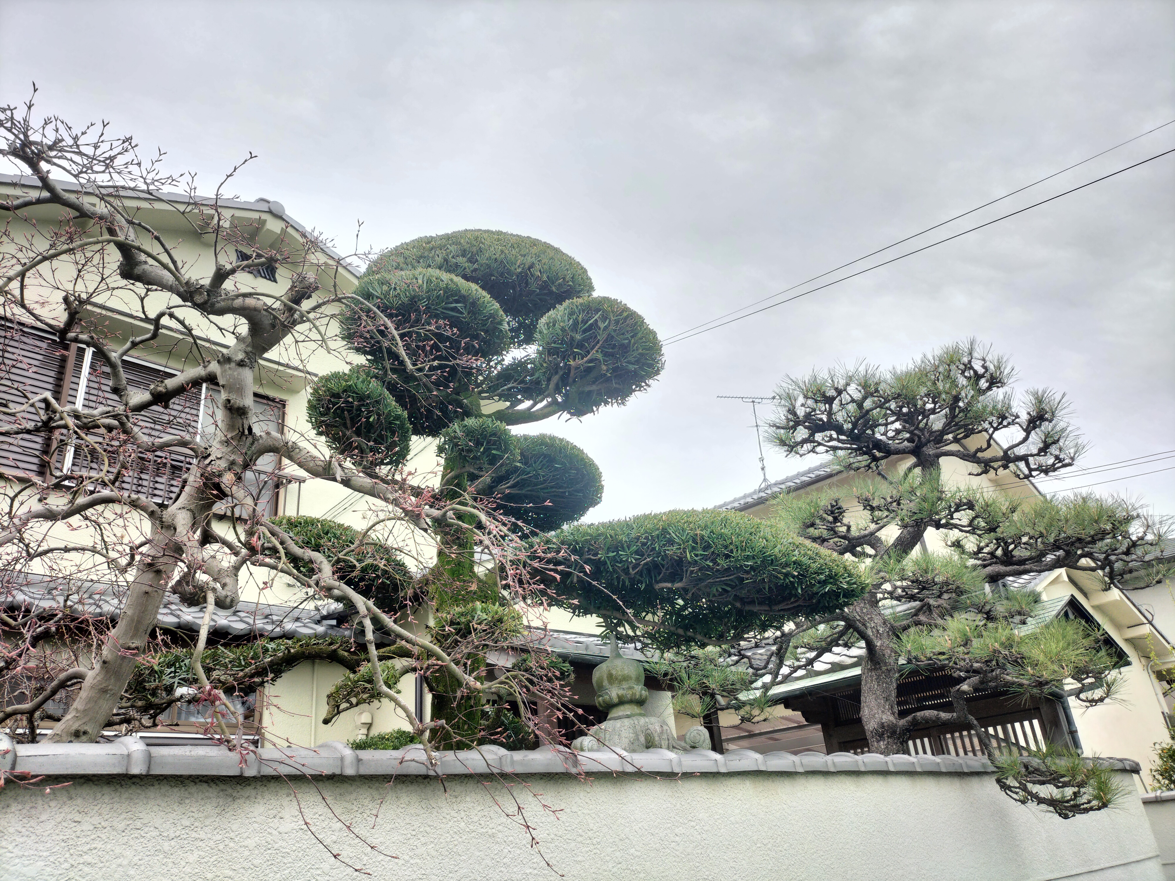 奈良県奈良市